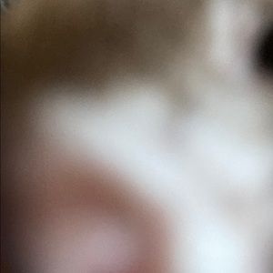 Meet your Posher, Liam